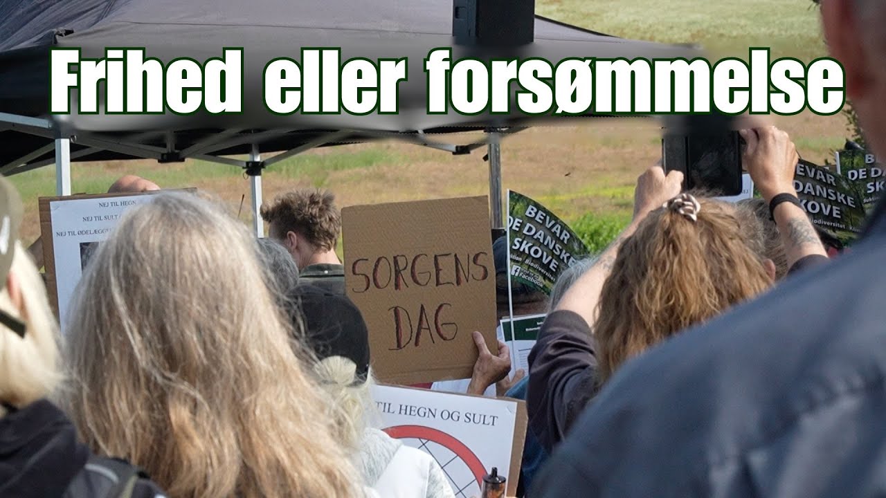 Frihed eller forsømmelse - Gruppe 12 feature