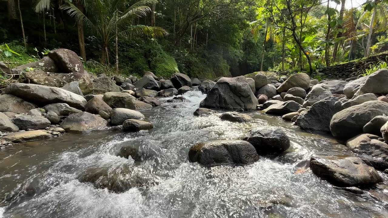 River Sounds for Sleeping Fast 🌙 Calming Nature Ambience for Insomnia & Deep Relaxation
