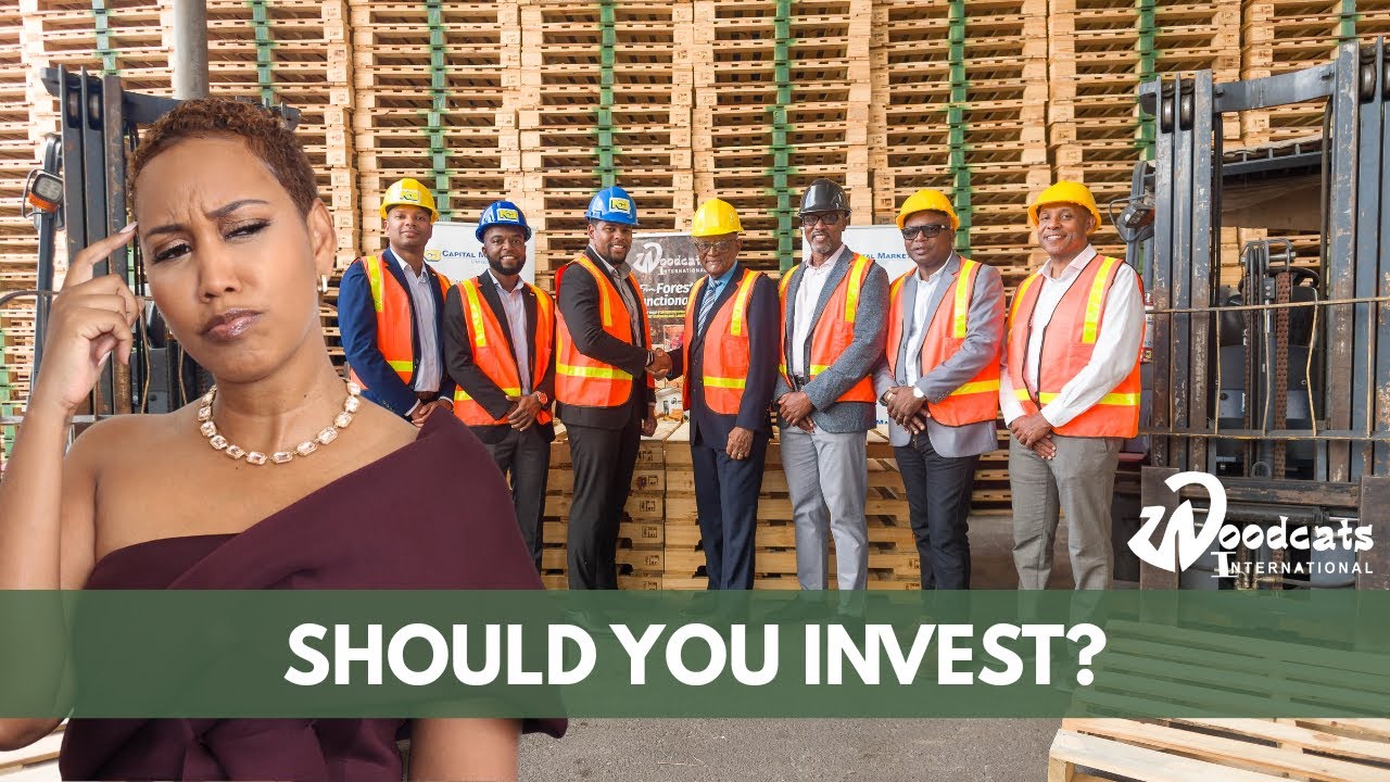 IPO ALERT - Watch This Before Investing in Woodcats International!