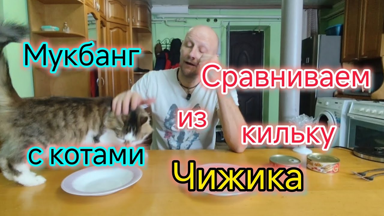 Мукбанг/Сравниваем кильку из ЧИЖИКА/Готовим дома ХАЧАПУРИ по-аджарски/Мерзкая погода на ЮГЕ/Замело 