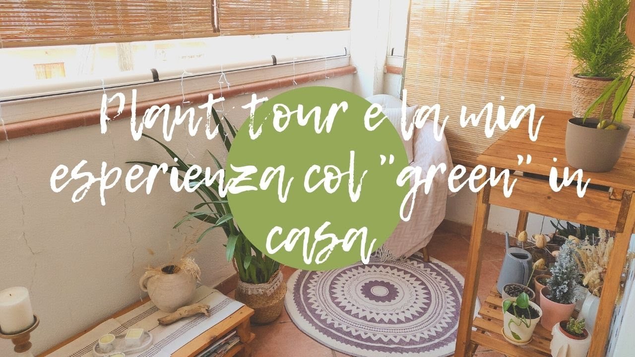 Plant tour terrazza e la mia esperienza col 