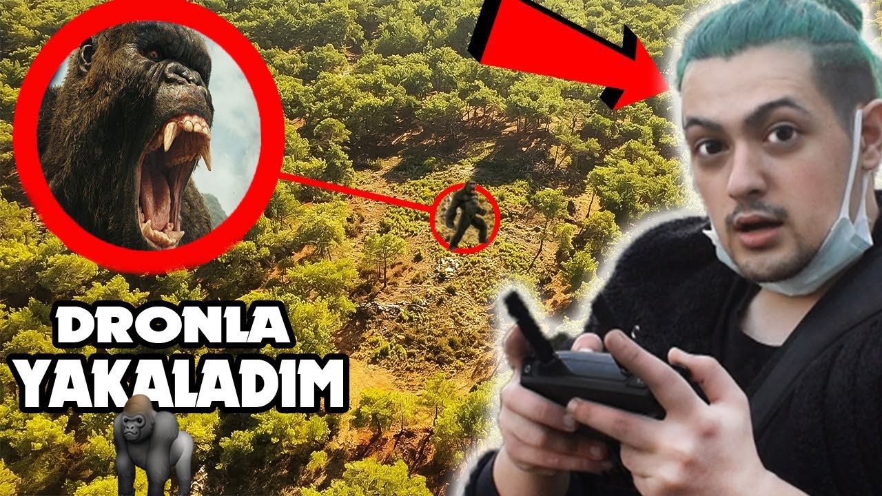 KİNG KONGU ORMANDA DRONE İLE YAKALADIM !! (Kafayı Sıyırdı)