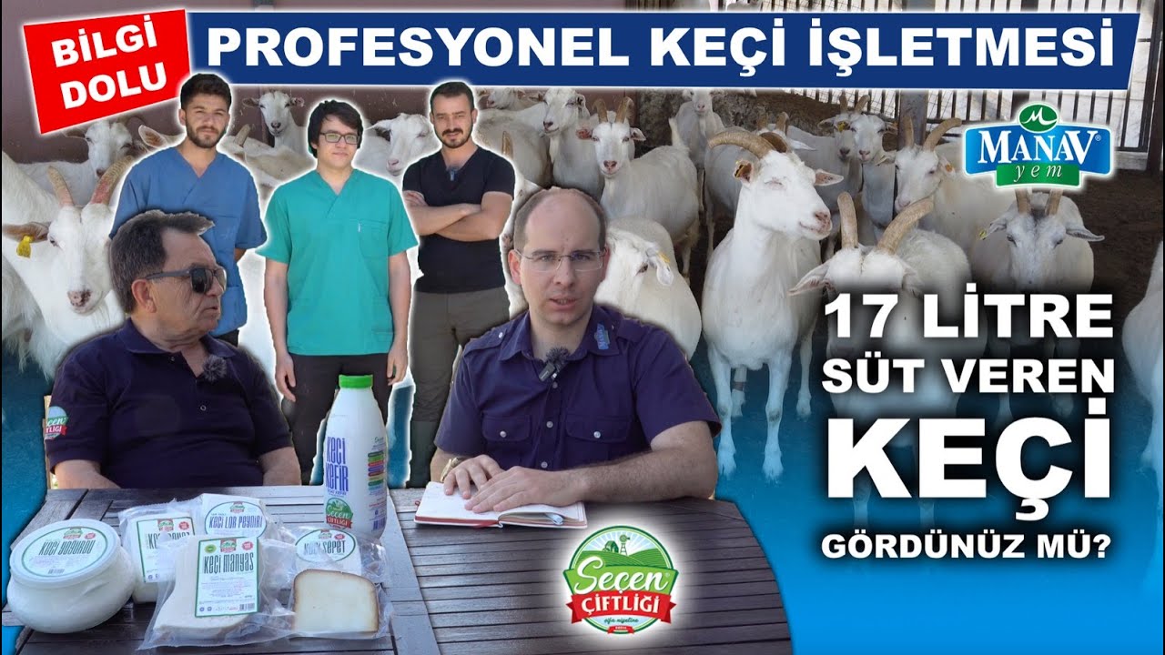 Bilgi Dolu, Profesyonel Keçi İşletmesi | 17 Litre Süt Veren Keçi Gördünüz Mü?