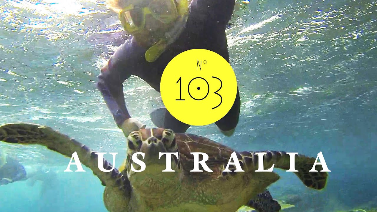 Tauchen im Great Barrier Reef - AUSTRALIEN - WORK & TRAVEL | &nbsp;REISEVLOG - TRAVELVLOG