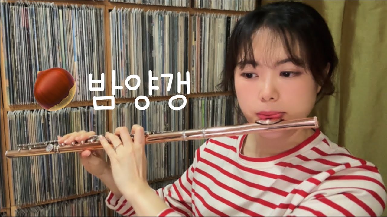 비비(BIBI) 밤양갱 🌰 (Bam Yang Gang) | Flute cover