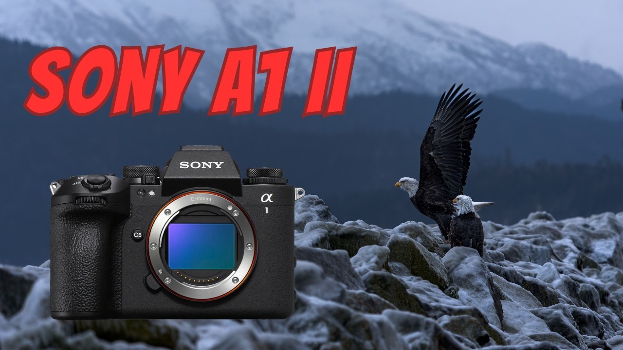 Протестировано на Sony A1 II на Аляске: камера для фотографов дикой природы?