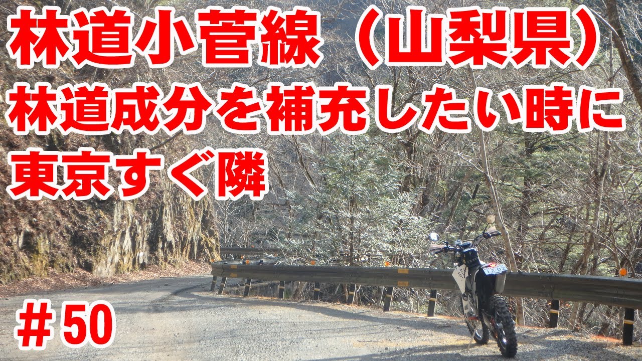 【小菅村】林道小菅線～林道成分は足りてる？【白糸の滝見学】