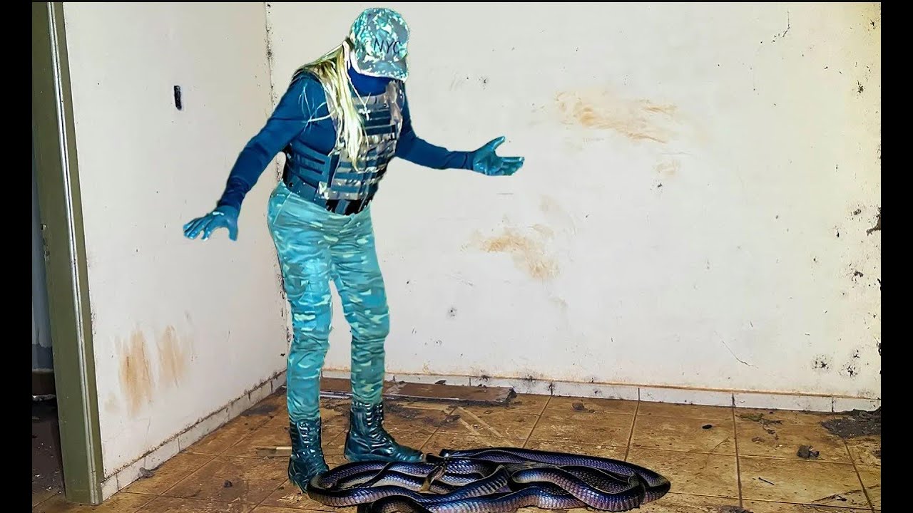 ROSY ENTRA EM CASA INFESTADA DE COBRA - SPIRITBOX