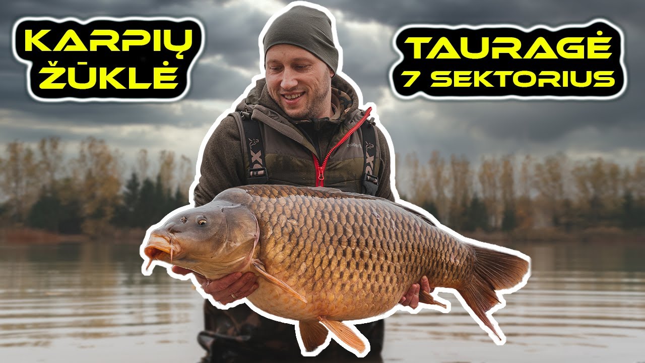 Karpių žvejyba. Tauragė - 7 sektorius. (Carp Fishing @ Taurage)