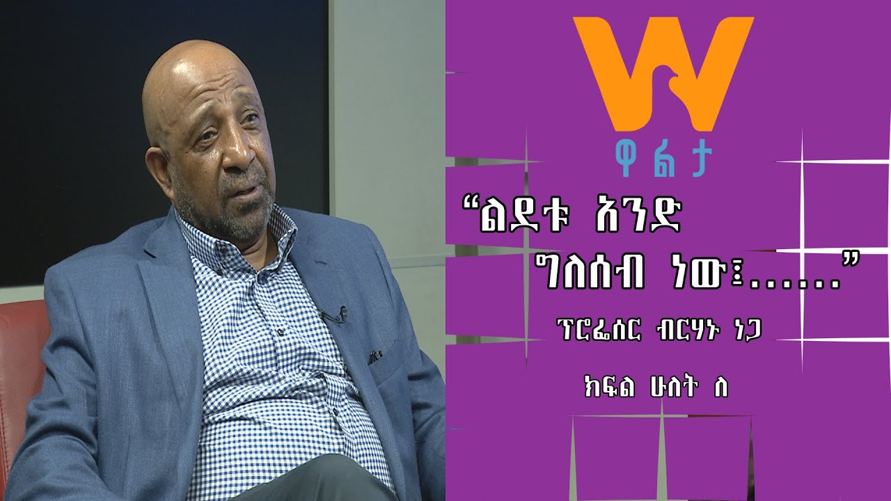 #WaltaTV : ነፃ ሃሳብ ፕ/ር ብርሃኑ ነጋ  ልደቱ አንድ ግለሰብ ነው Part B
