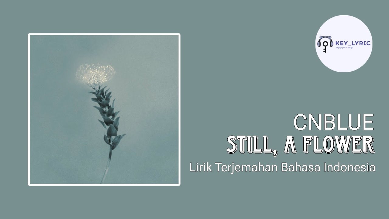 CNBLUE (씨엔블루) - Still, a Flower | Lirik Terjemahan Bahasa Indonesia Han_Rom_Ina