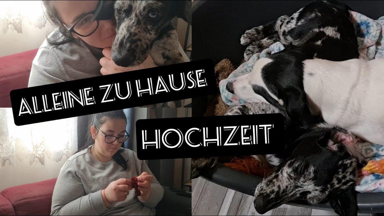 Vlog#8/ Alleine zu Hause/ Hochzeit/ Kochen