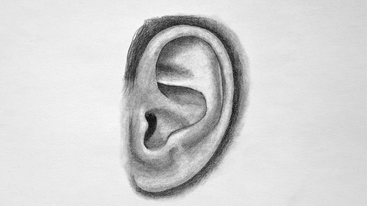 Quick Realistic Ear Drawing - Step by step pencil technique