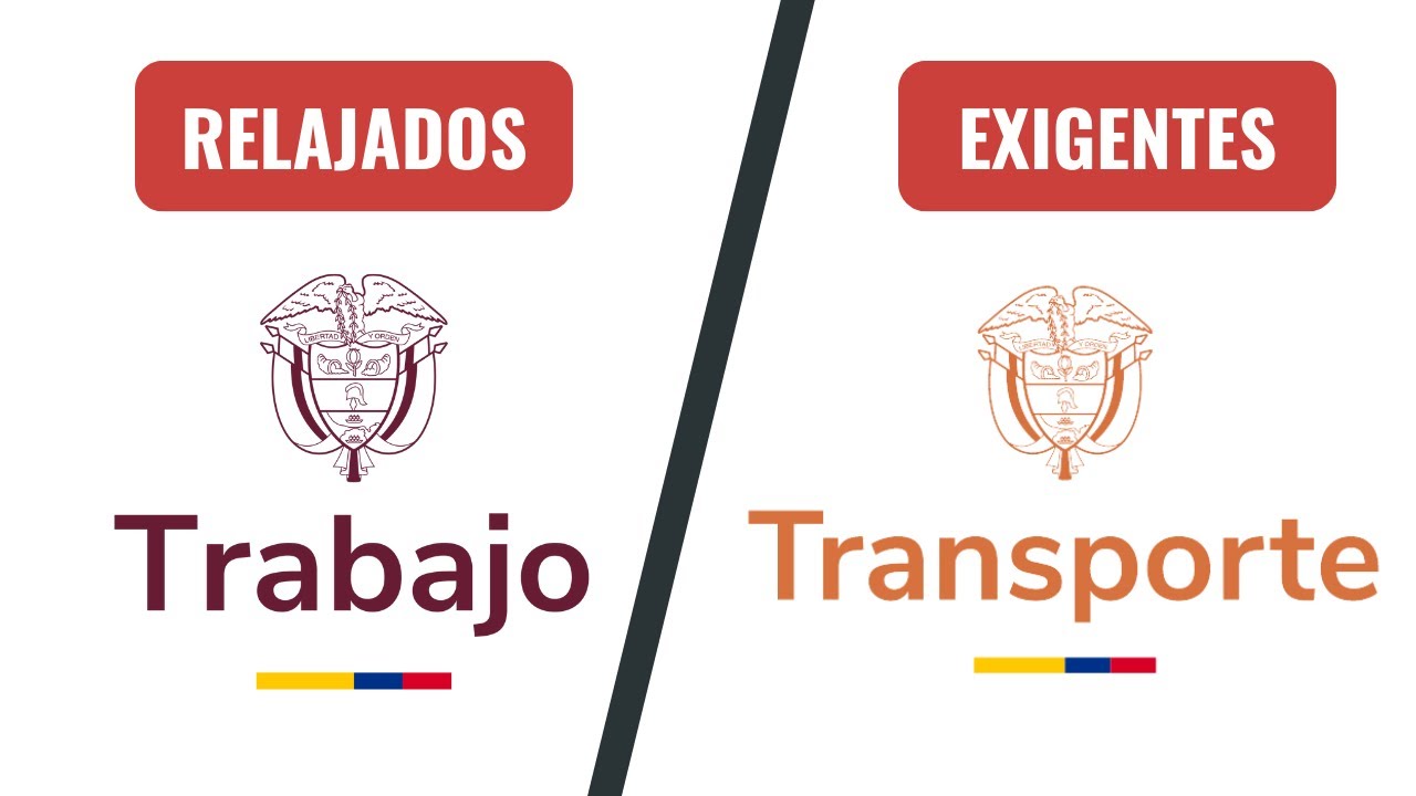 Verificación del PESV por parte de Mintrabajo [2024]