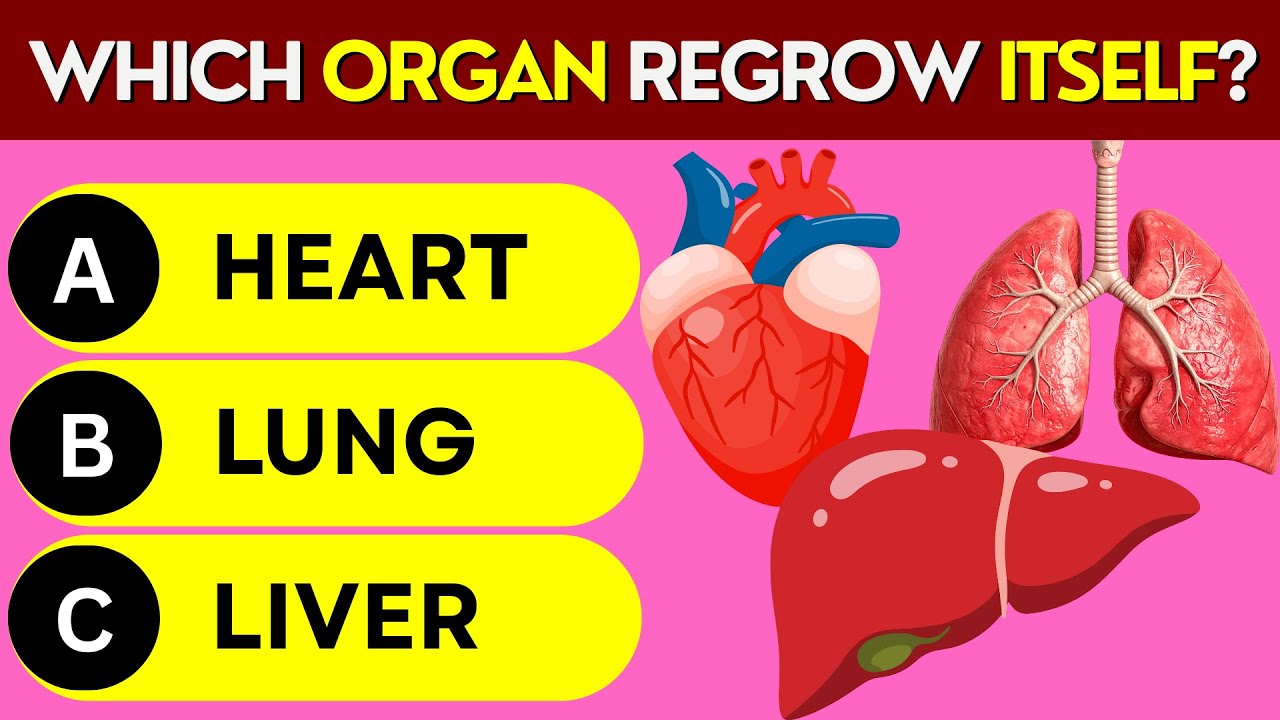 Score 40/40 on This General Knowledge Quiz | 1% Challenge | Quiz Terrain
