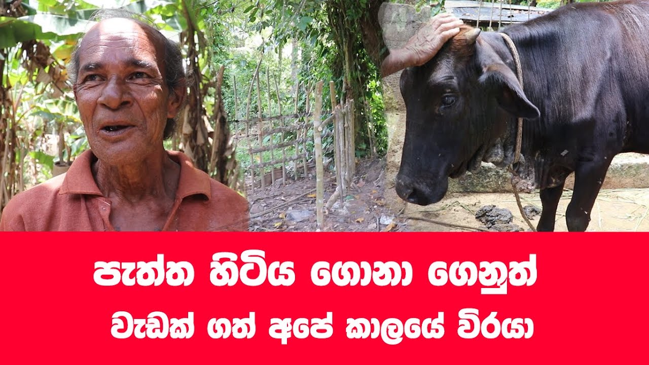 ලංකාවේ ආර්ථික අර්බුධයට විසදුමක්