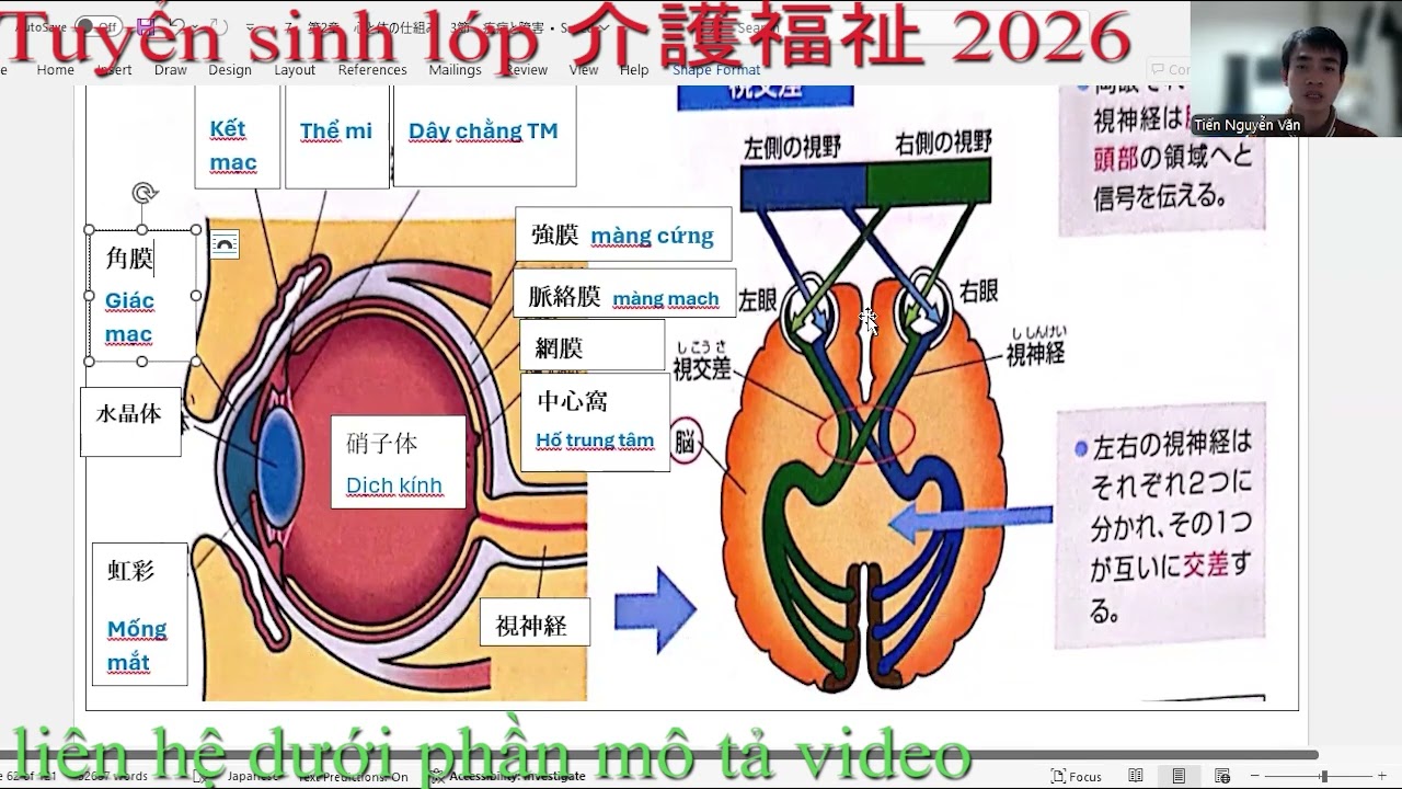 Học Chứng Chỉ Quốc Gia Kaigo | 介護福祉士国家試験 | Kaigofukushi | 感覚器・眼