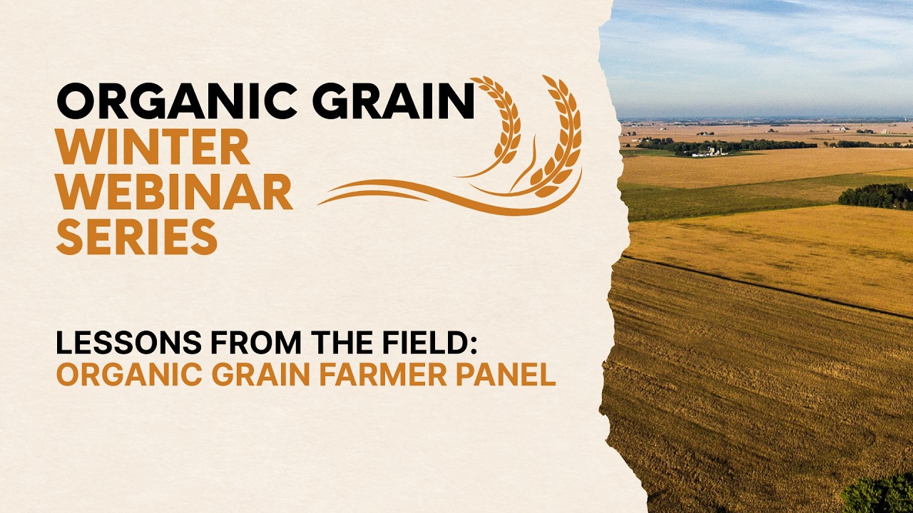 Organic Grain Winter Webinars -  Lessons from the Field: Organic Grain Farmer Panel