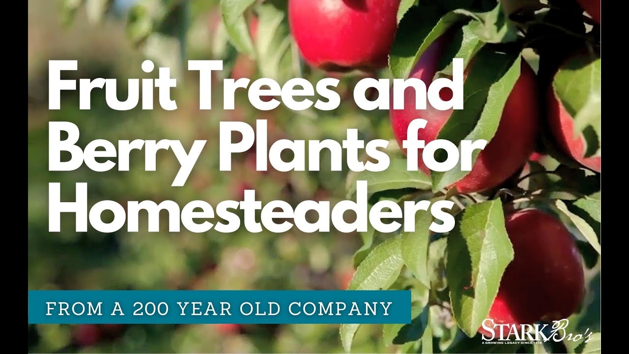 Fruit Trees and Berry Plants for the Homestead