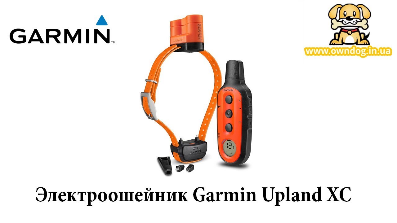 Garmin Upland XC электроошейник и бипер для охоты