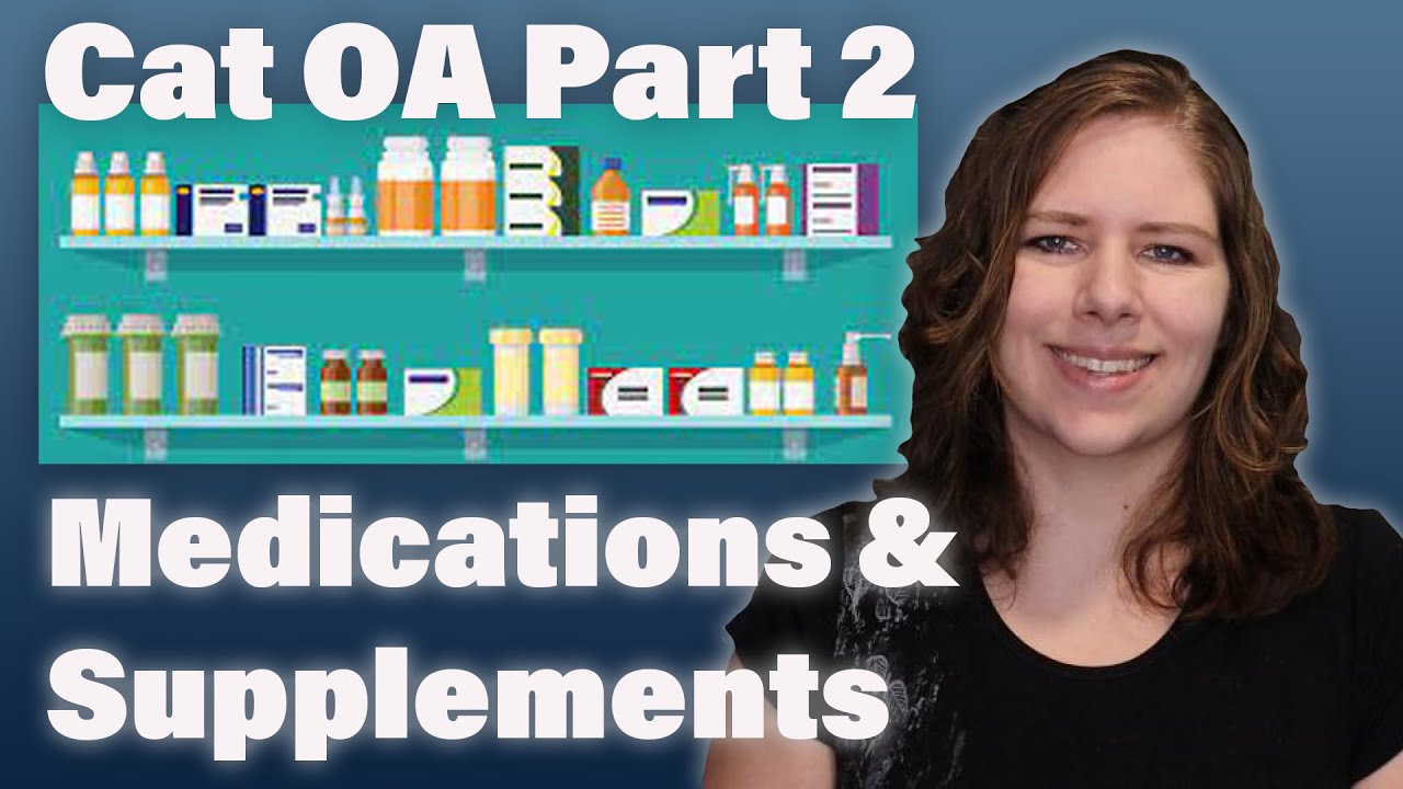 Feline OA - Common Medication and Supplement Options | Part 2