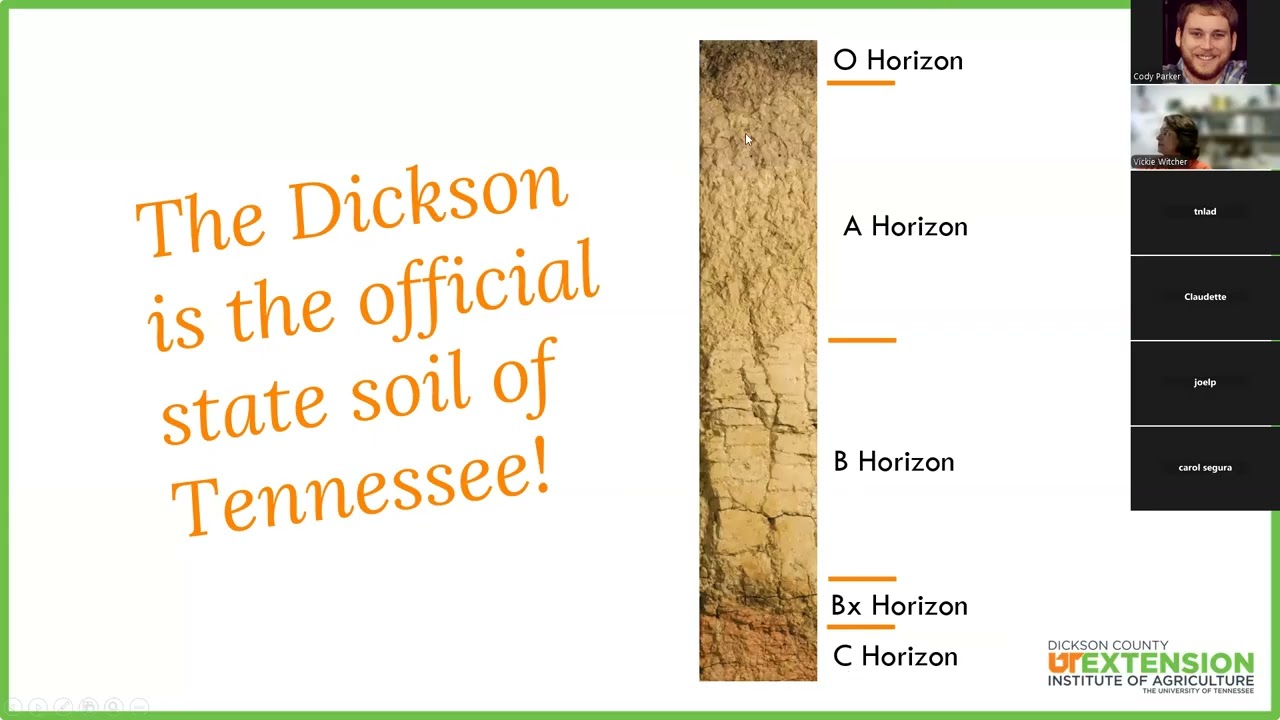 Homesteading 101 Soil Management