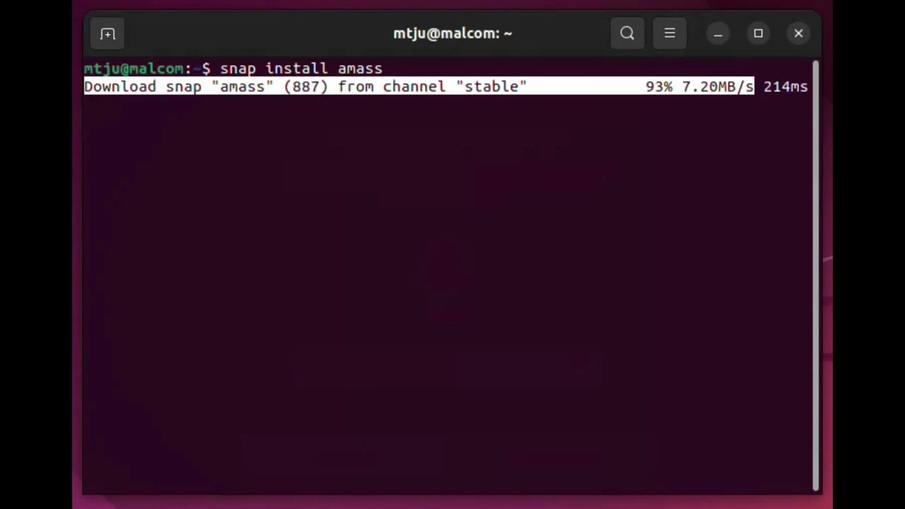 TMack - Amass - snap install - #osint #amass #recon #tools