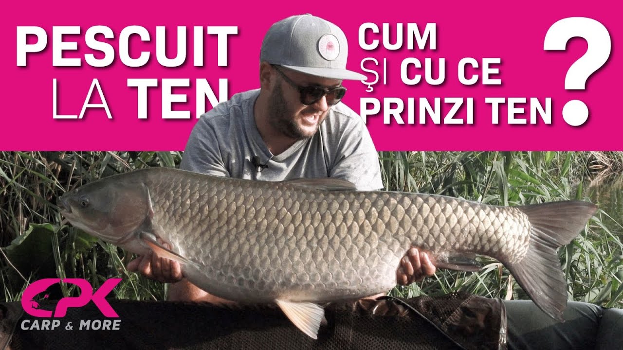 Pescuit la TEN-AMUR