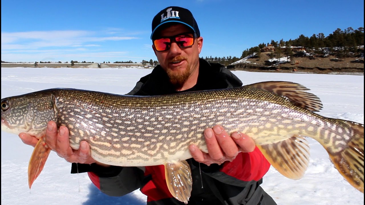 late ice big pike (rod and reel)
