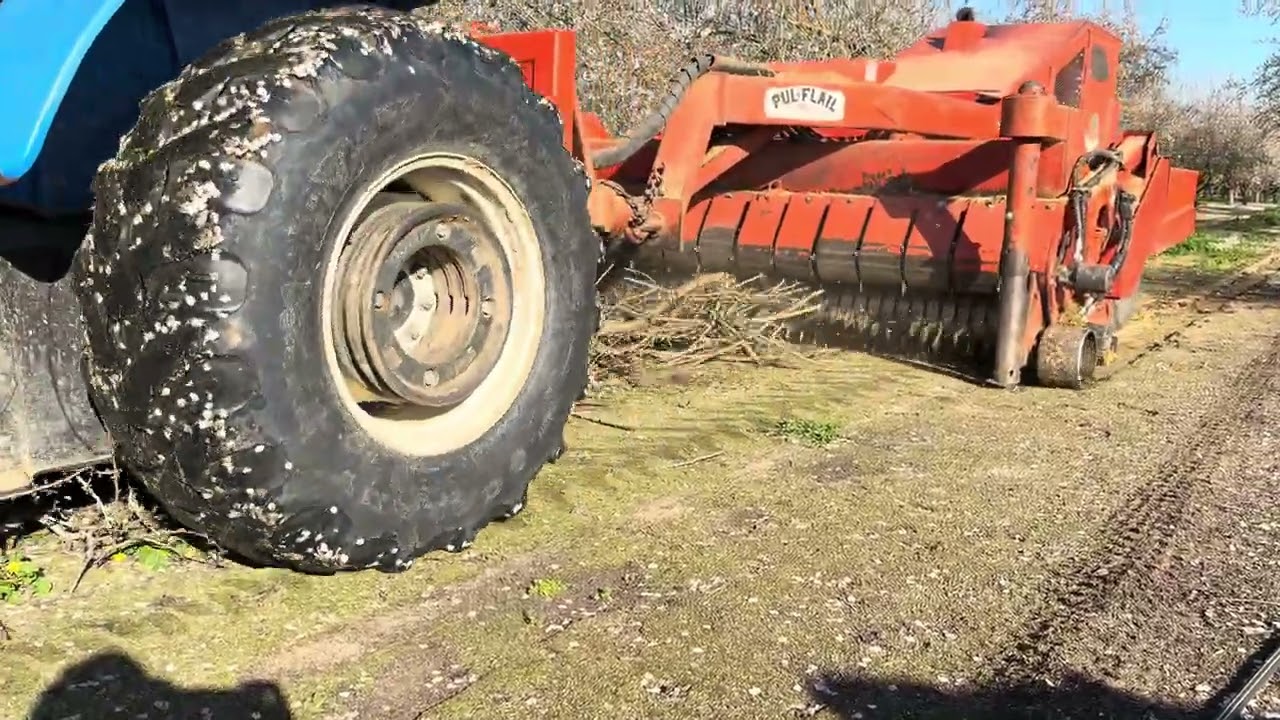 Almond Brush Shredding