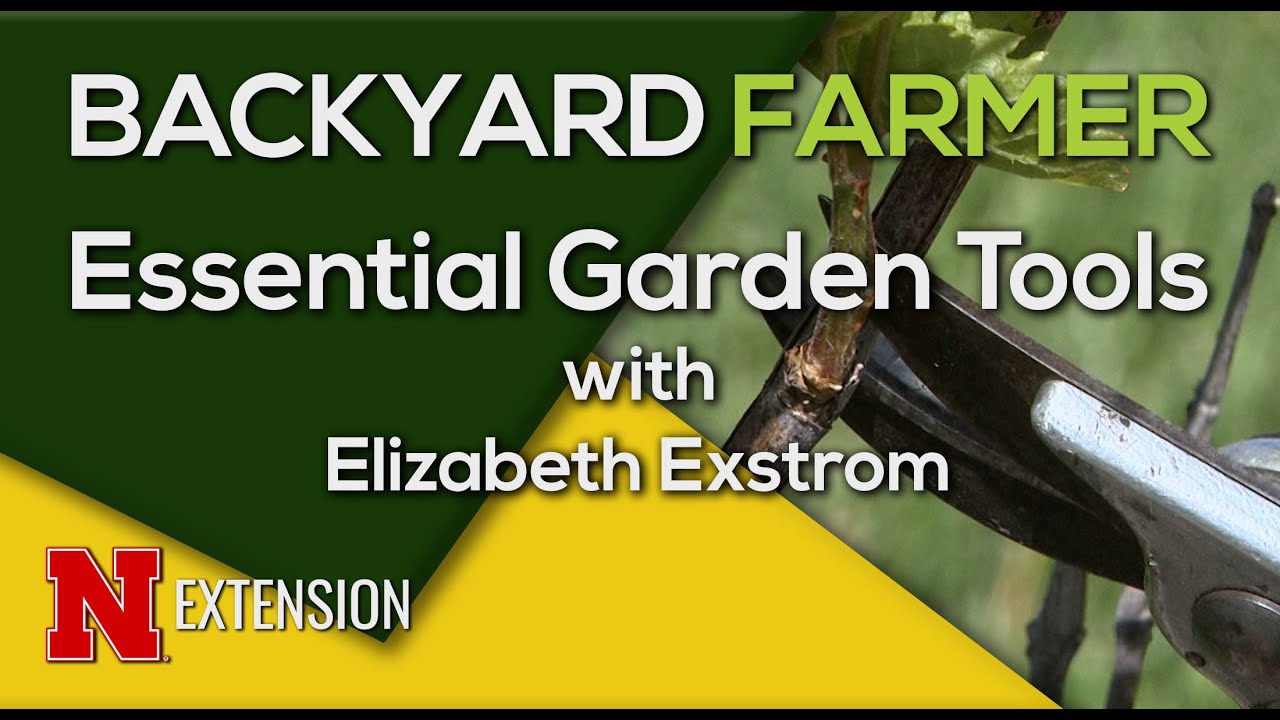 Top Essential Gardening Tools for Beginners