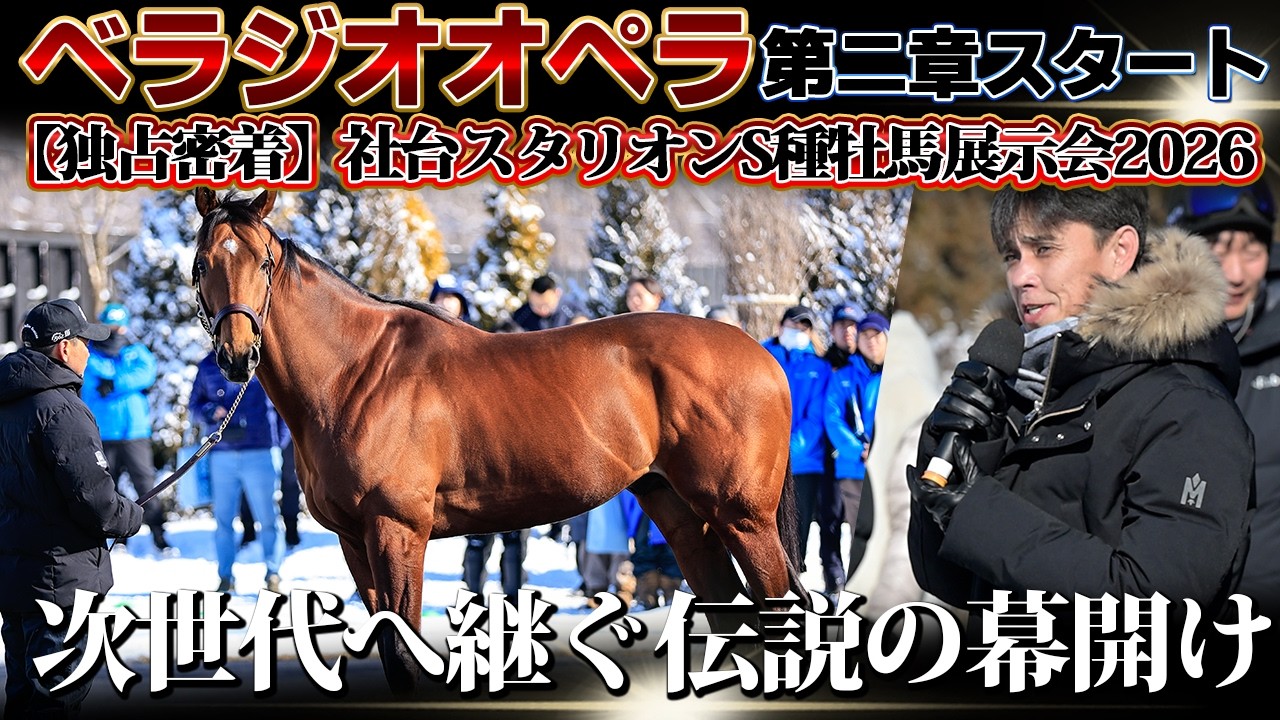「べラジオオペラ」～第二章、開幕～社台スタリオンS種牡馬展示会2026に独占密着【ベラジオch】