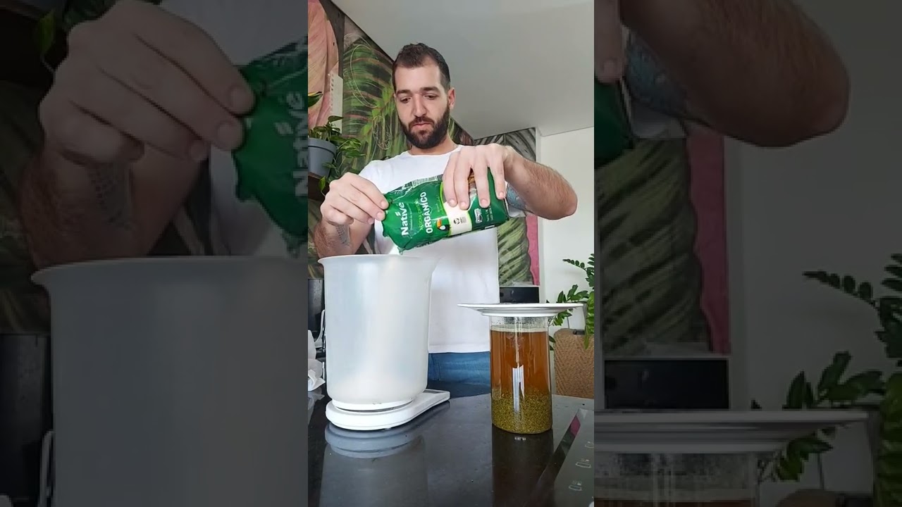 kombucha primeira fermenta&ccedil;&atilde;o