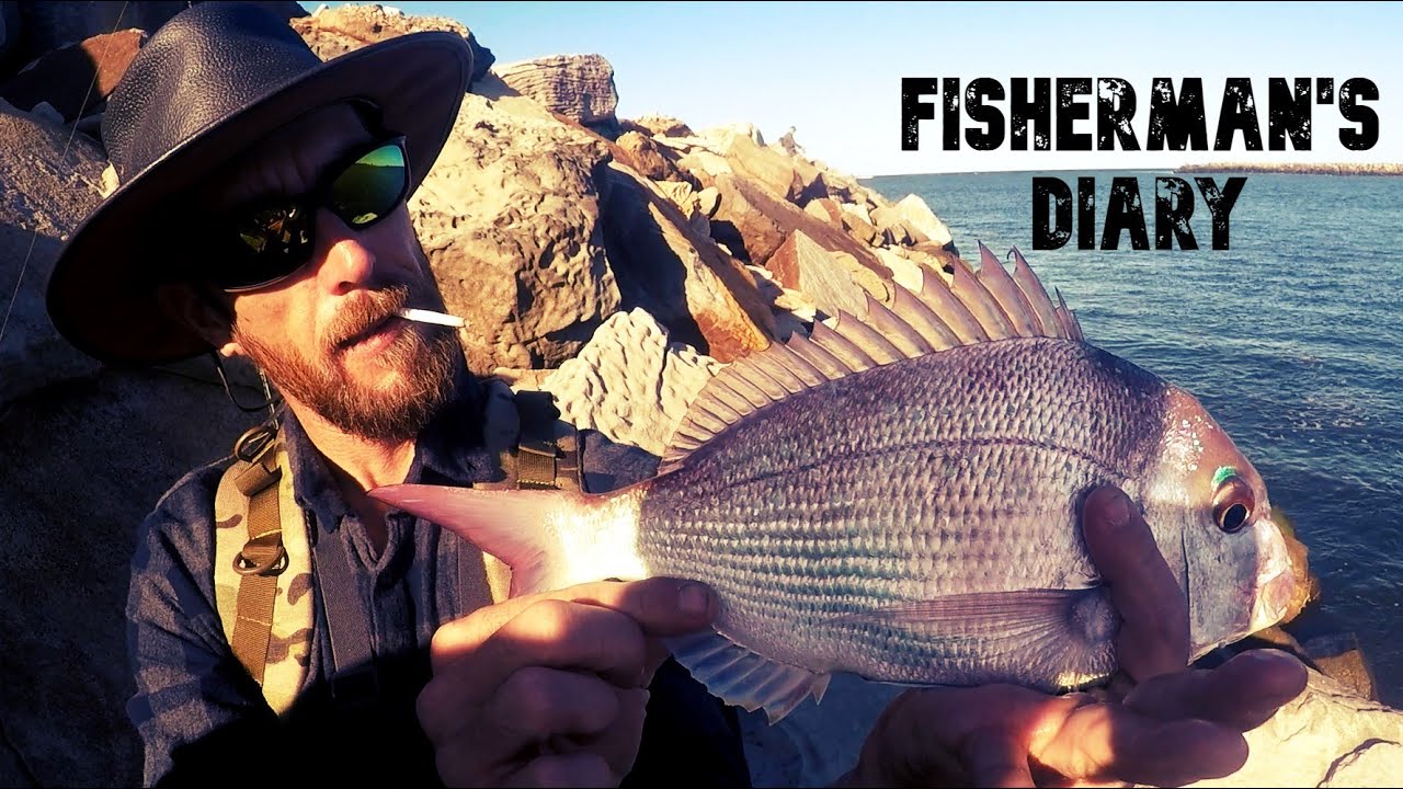 Dinosaur Bream And Snapper On Plastics - Iluka Breakwall Fishing ~ Fisherman's Diary Ep 598