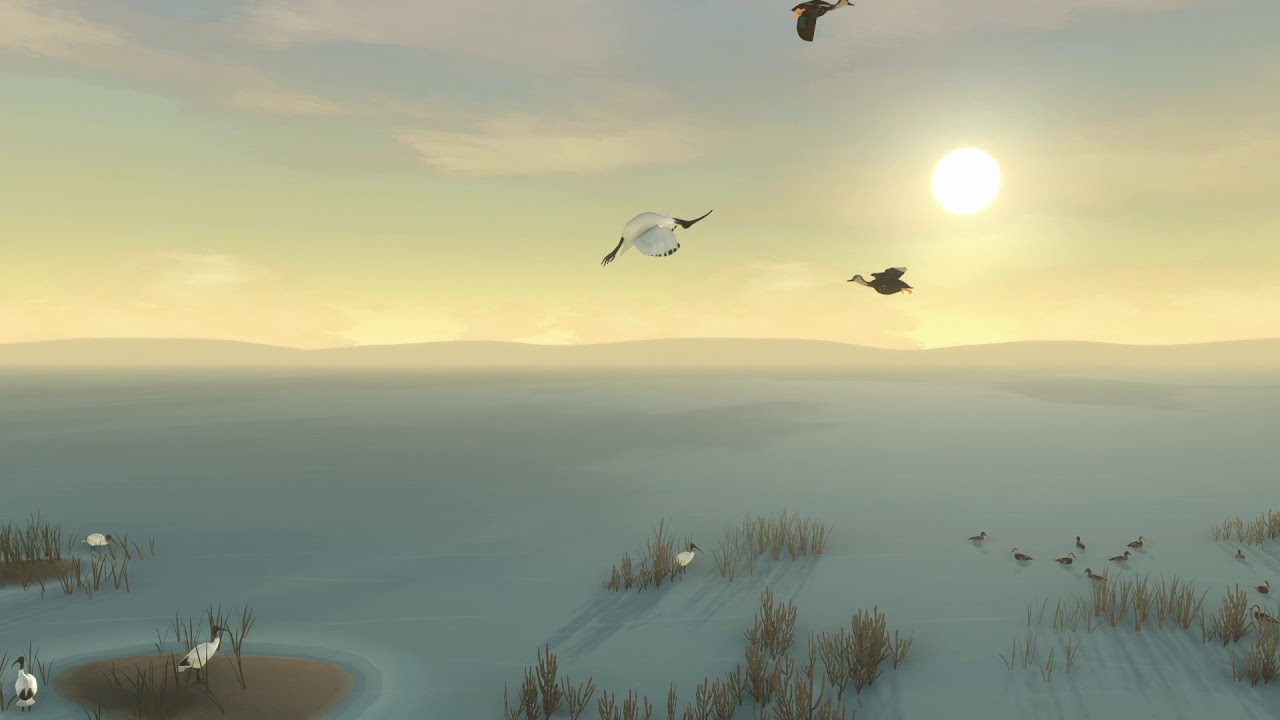 Colin Thiele's Storm Boy The Game release what the game looks like