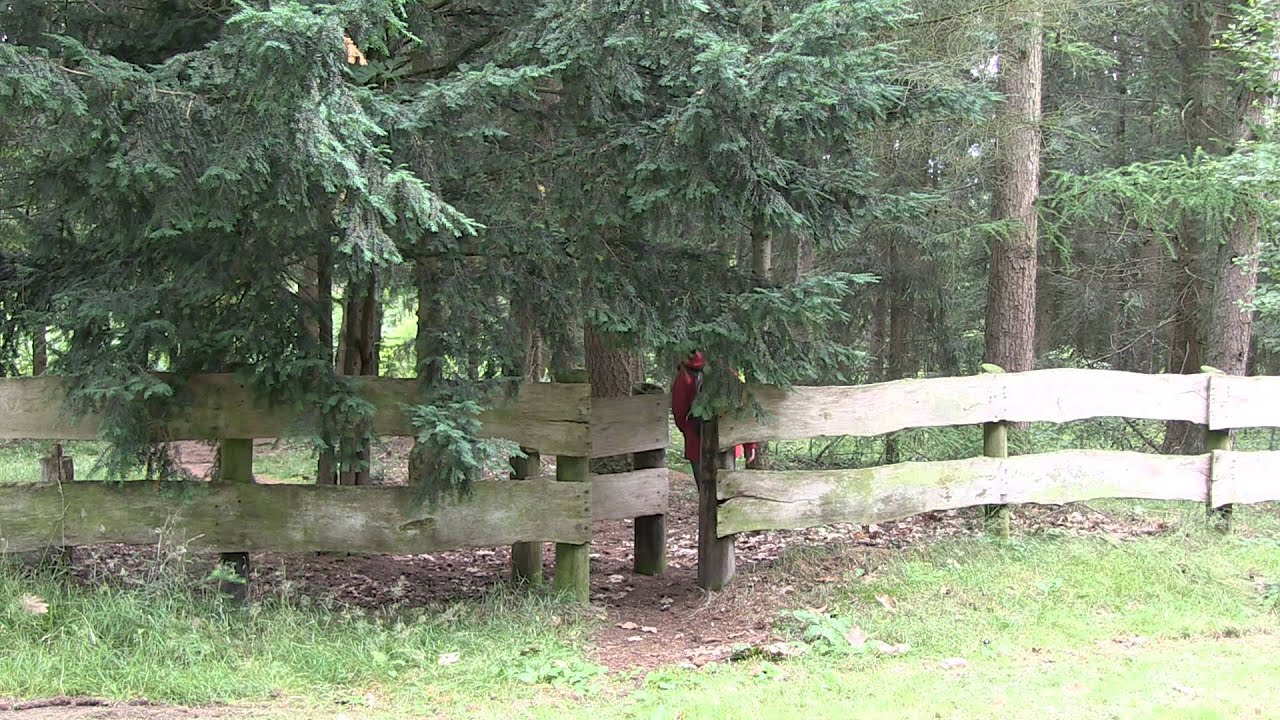 Heimatverein Wilsum - Wilsumer Wanderweg