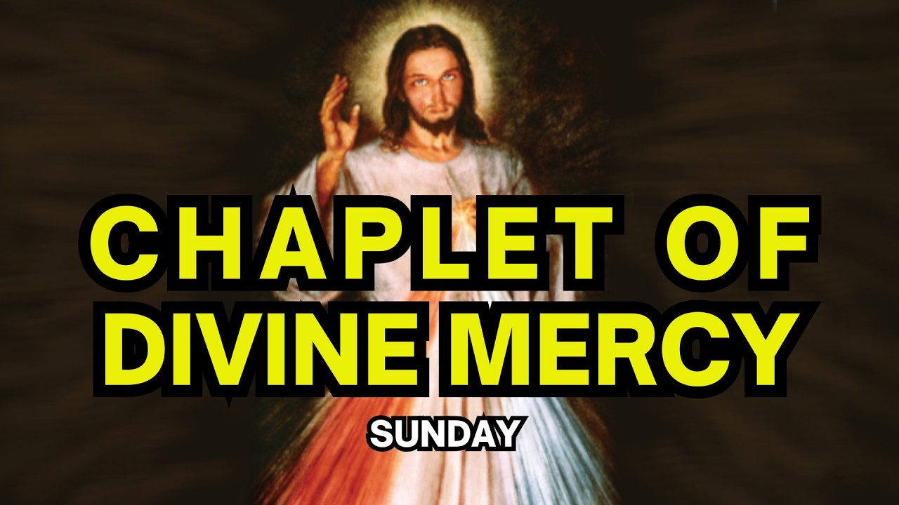 Chaplet of divine mercy Sunday The Holy Rosary Today