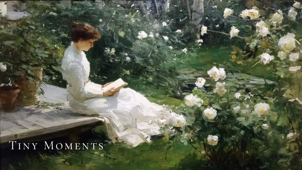 a cozy piano playlist| reading in a white rose garden