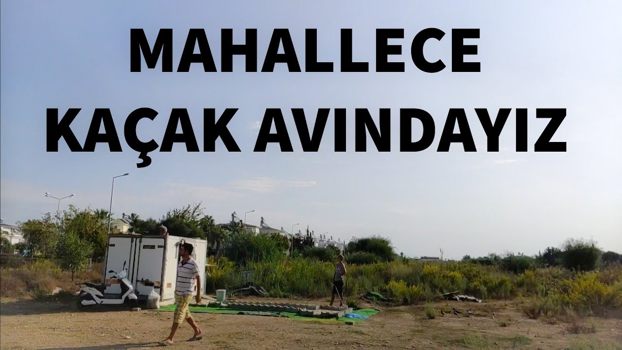 3 KUŞÇU KAÇAK GÜVERCİN İNDİRMEYE ÇALIŞIYORUZ.EFSANE HAVADA,SEFERLİ