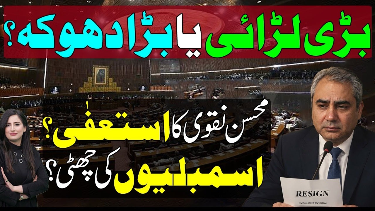 Big Fight In PMLN - PPP | Will Mohsin Naqvi Resign or Will Assemblies Dissolve | Maleeha Hashmey