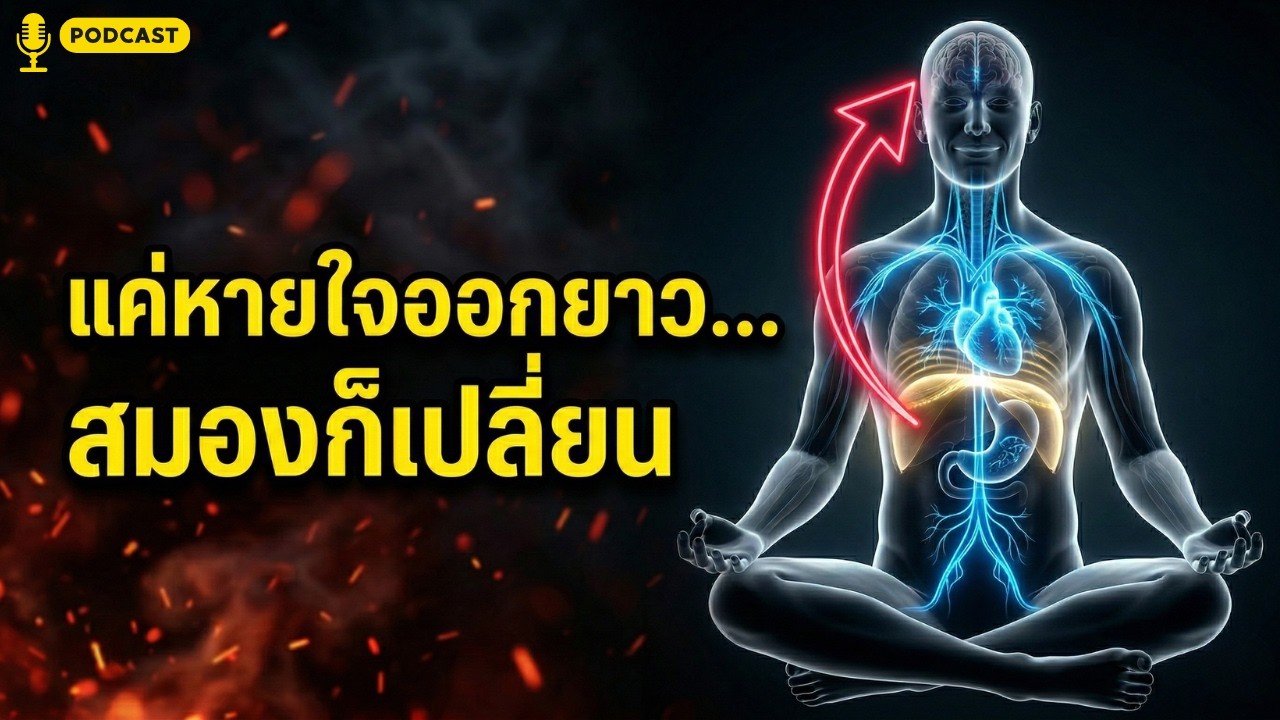 ความลับของลมหายใจ: Vagus Nerve x อานาปานสติ กลไกดับความเครียดด้วยธรรมชาติ