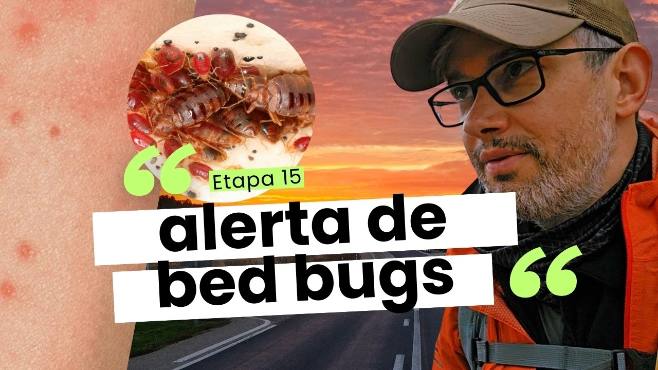 Caminho de Santiago: enfrentamos um dos dias mais longos do caminho | Sahagún → Mansilla | Etapa 15