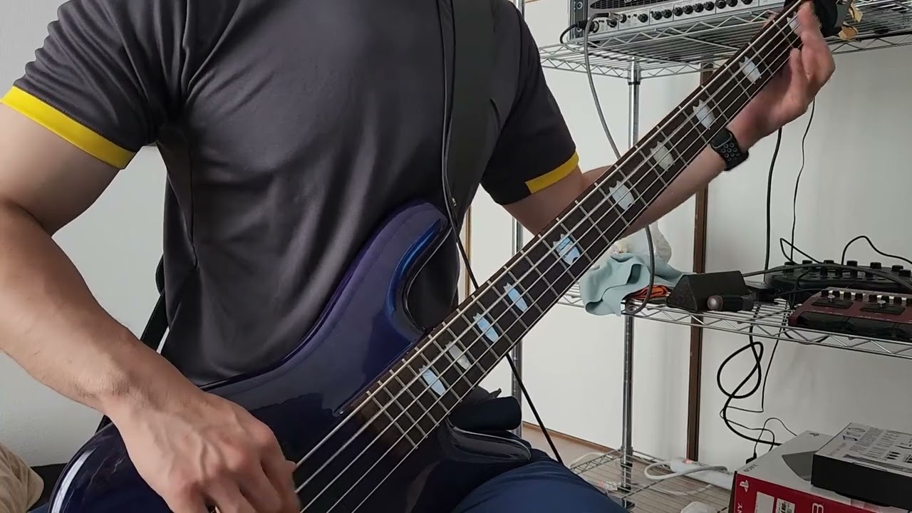 Kreator - Pleasure to Kill (Bass Cover)