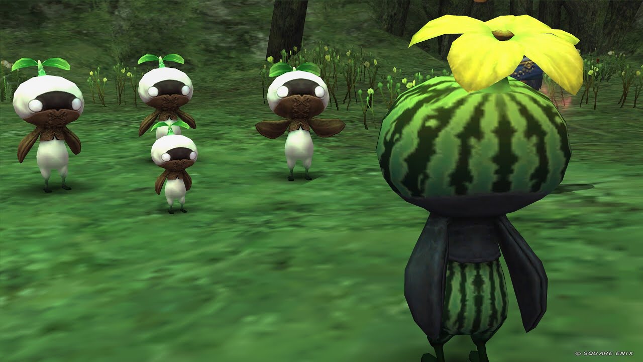 【FF11】水曜定期～リンバス周回→ソーティ深夜部【ビス鯖】