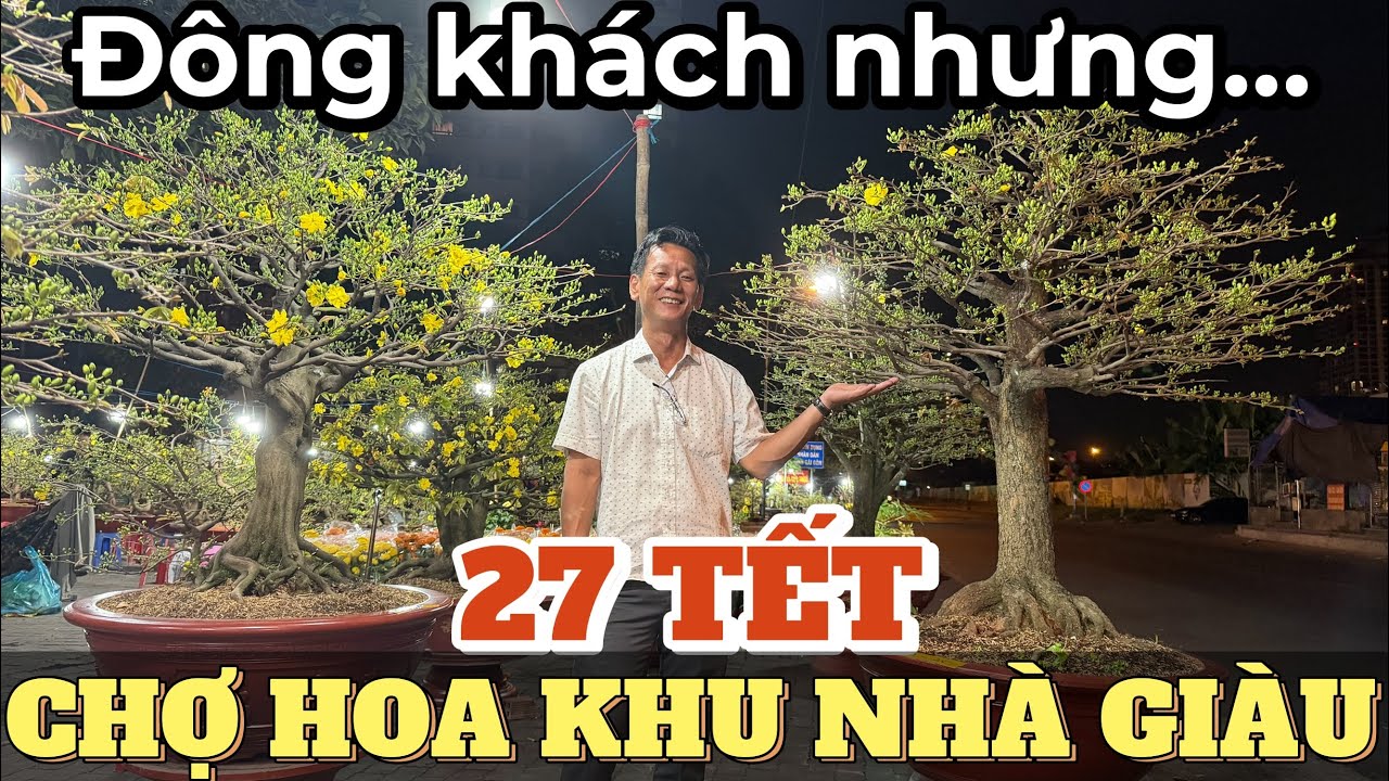 27 Tết chợ hoa KHU NHÀ GIÀU Q2 đìu hiu chủ vườn mai báo giá ngồi đợi xổ ngày cuối anh Hải lên tiếng: