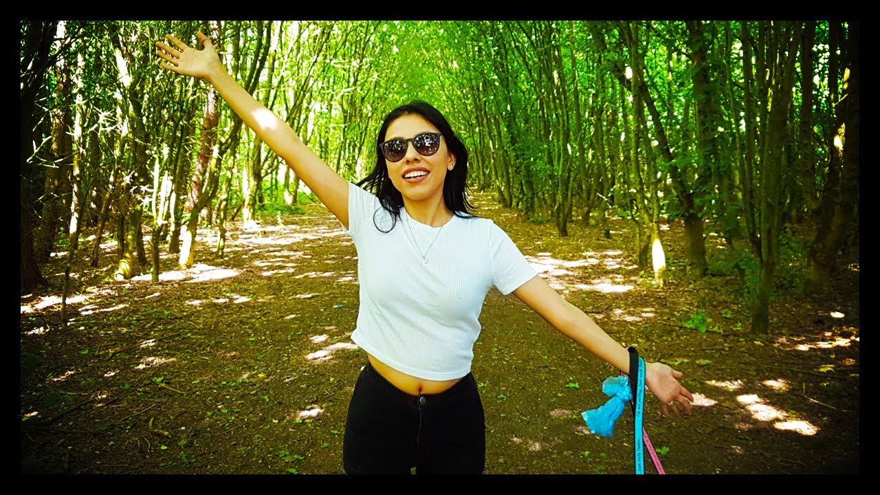 HIDDEN FOREST! - Vlog 18 -