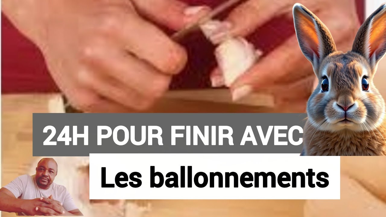 PUISSANT ASTUCE MIRACLE POUR VOUS DÉBARRASSER DES BALLONNEMENTS DE VENTRE DES LAPINS EN 24H 🐇