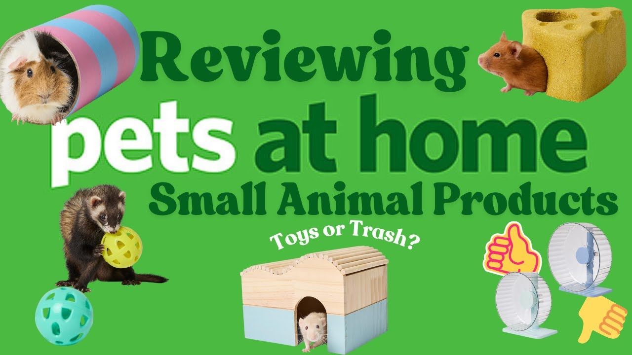 Обзор товаров для мелких животных Pets at Home — стоят ли они того?