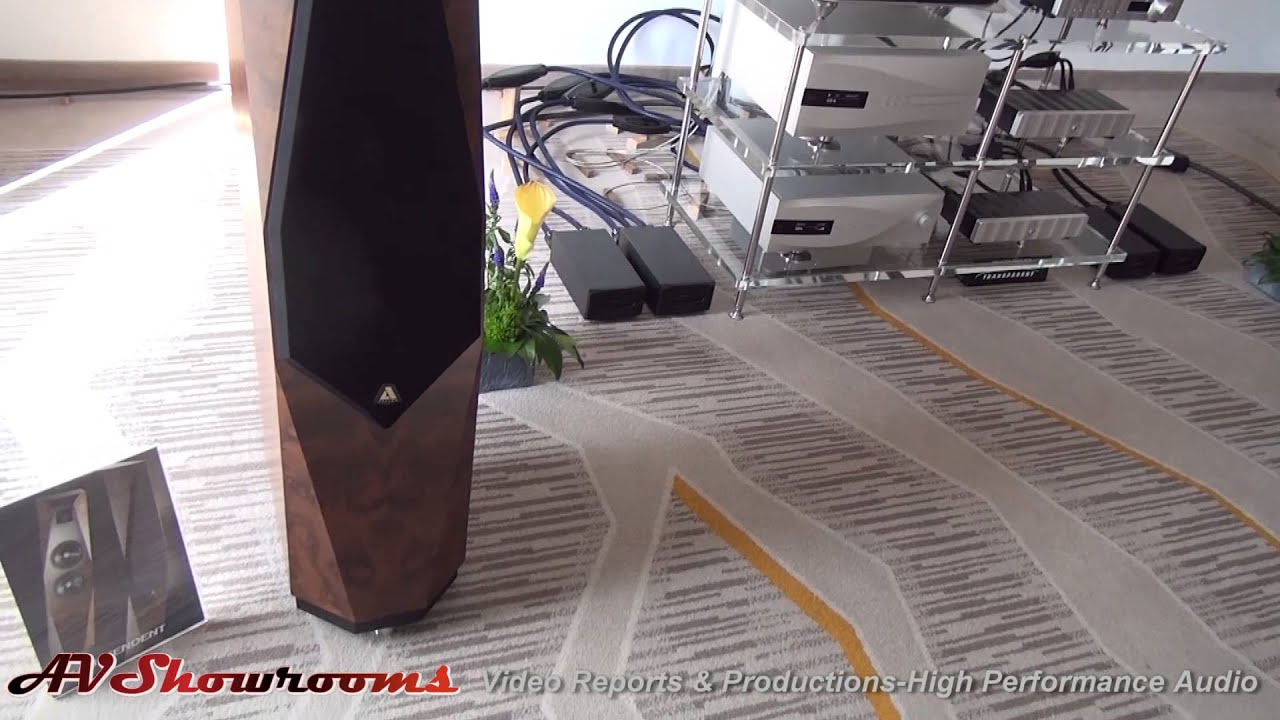 Active Audio, Stillpoints, Rowland, dCS, Avalon, Spiral Groove, Transparent, Triplanar, HiFi Deluxe