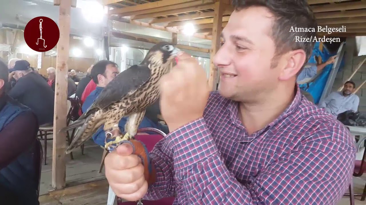 Atmaca Sevgisi Belgeseli Rize/Ardeşen